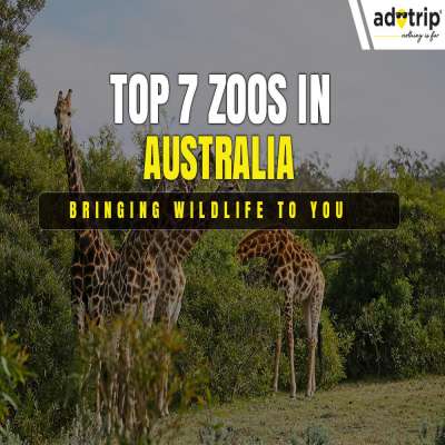 Zoos In Australia